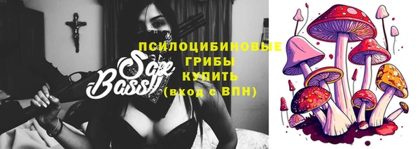 PSILOCYBIN Нефтекумск