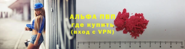 PSILOCYBIN Нефтекумск