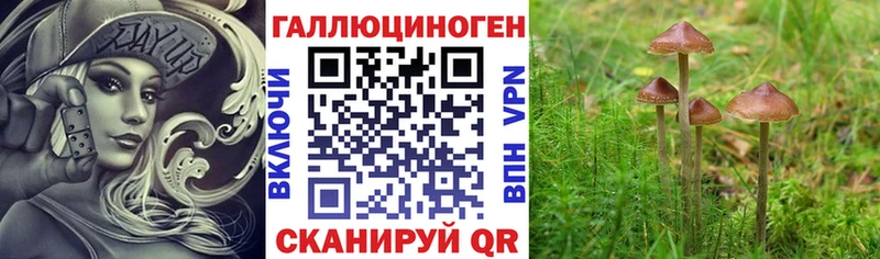 Галлюциногенные грибы мухоморы Тбилисская